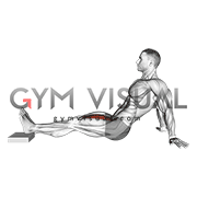 Seated Single Leg Knee Extension (VERSION 2) (male)