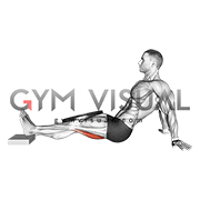 Weighted Seated Single Leg Knee Extension (VERSION 2) (male)