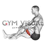Seated Single Leg Hugging Knee Flexion (male)
