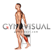Standing Single Leg Calf Rock (male)
