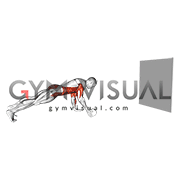 Plank Alternating Hit the Ball (male)