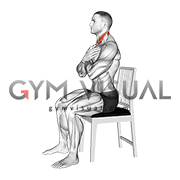Seated Neck Flexion to Extension on Chair (male)