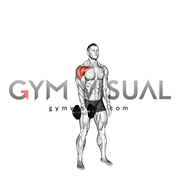 Dumbbell Full Front Raise Catch (male)