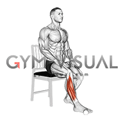 Seated Pronation Supination Foot (male)