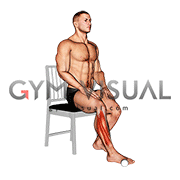 Seated Pronation Supination Foot (male)