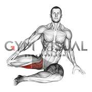 90 to 90 Press Stretch (male)