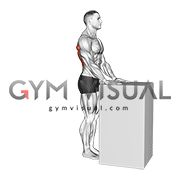 Walkout Lat Stretch (male)