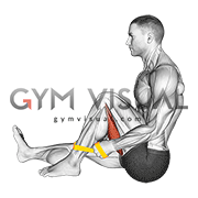 Resistance Band Seated Single Leg Hugging Knee Flexion (male)