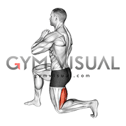 Half Kneeling Hamstrings Stretch (male)