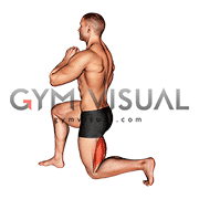 Half Kneeling Hamstrings Stretch (male)