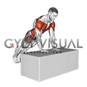 Incline Jack Plank (male)