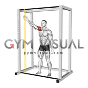 Resistance Band Lateral Hit (male)