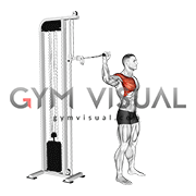 Cable 90 degrees Internal Rotation Catch (male)