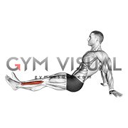 Seated Single Leg Tibialis Press (male)
