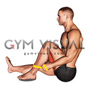 Resistance Band Seated Single Leg Hugging Knee Flexion (male)