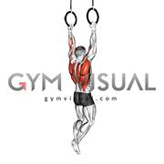 Ring Rocky Pull-up Pulldown