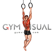 Ring Rocky Pull-up Pulldown