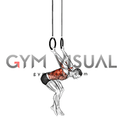 Ring Skin the Cat (male)