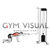 Cable Kneeling Single Arm Horizontal Row (male)