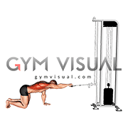 Cable Kneeling Single Arm Horizontal Row (male)
