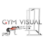 Band Kneeling Single Arm Horizontal Row (male)