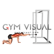 Band Kneeling Single Arm Horizontal Row (male)