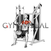 Lever Stack Seated Incline Chest Press (male)