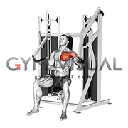 Lever Stack Seated Incline Single Arm Chest Press (male)