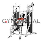 Lever Stack Seated Chest Press (male)