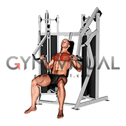 Lever Stack Seated Chest Press (male)