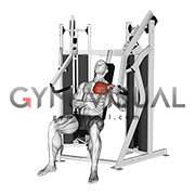 Lever Stack Seated Single Arm Chest Press (male)