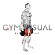 Kettlebell Squat (male)