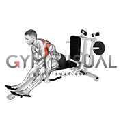 Lever Seated Bent Over Rear Delt Fly