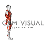 Inchworm and Mountain Climbers (male)