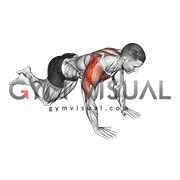 Knee Push-up Chest Pullback (male)