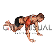 Knee Push-up Chest Pullback (male)