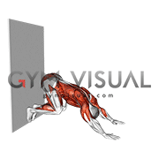 Downward Dog Push-up against Wall (male)