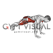 Double Plank Jack to 4 Mountain Climber (male)