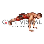 Double Plank Jack to 4 Mountain Climber (male)