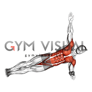 Side Plank Twist Arm Delt Raise (male)