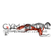 Explosive Dynamic Plank (male)