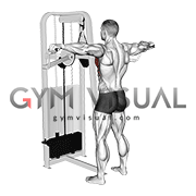 Lever Standing Pec Fly (male)