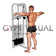 Lever Standing Pec Fly (male)