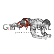 Plank Side Jump (male)