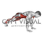 Plank Leg Lift Mountain Climber (male)