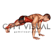 Plank Leg Lift Mountain Climber (male)