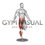 Balance Board Single Leg Balance (male)