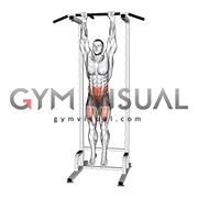 Hanging Alternating Knee Raise (male)