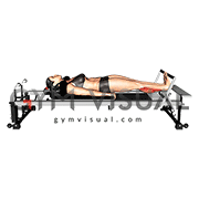 Pilates Machine Lying Calf Raise (female)