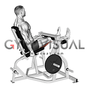 Lever Seated Leg Curl (plate loaded) (male)